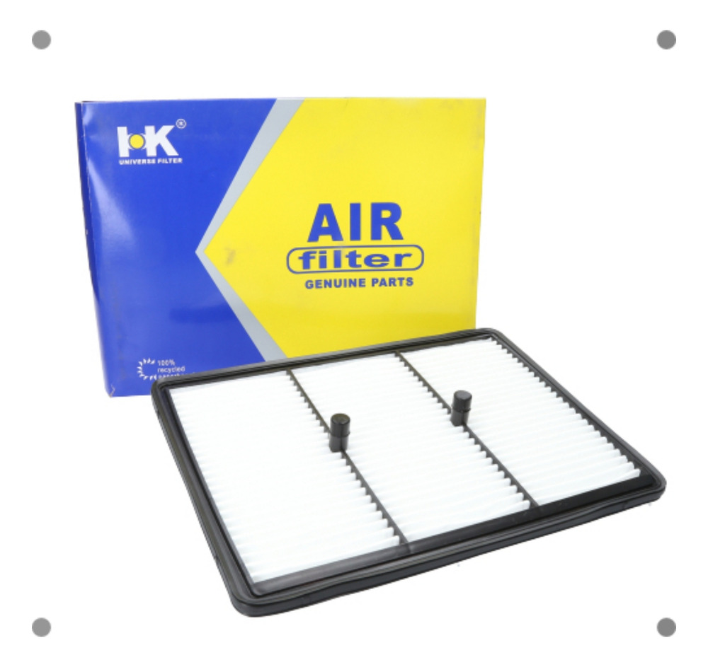 Filtro Aire Hk Para Hyundai Ioniq 2017 2025
