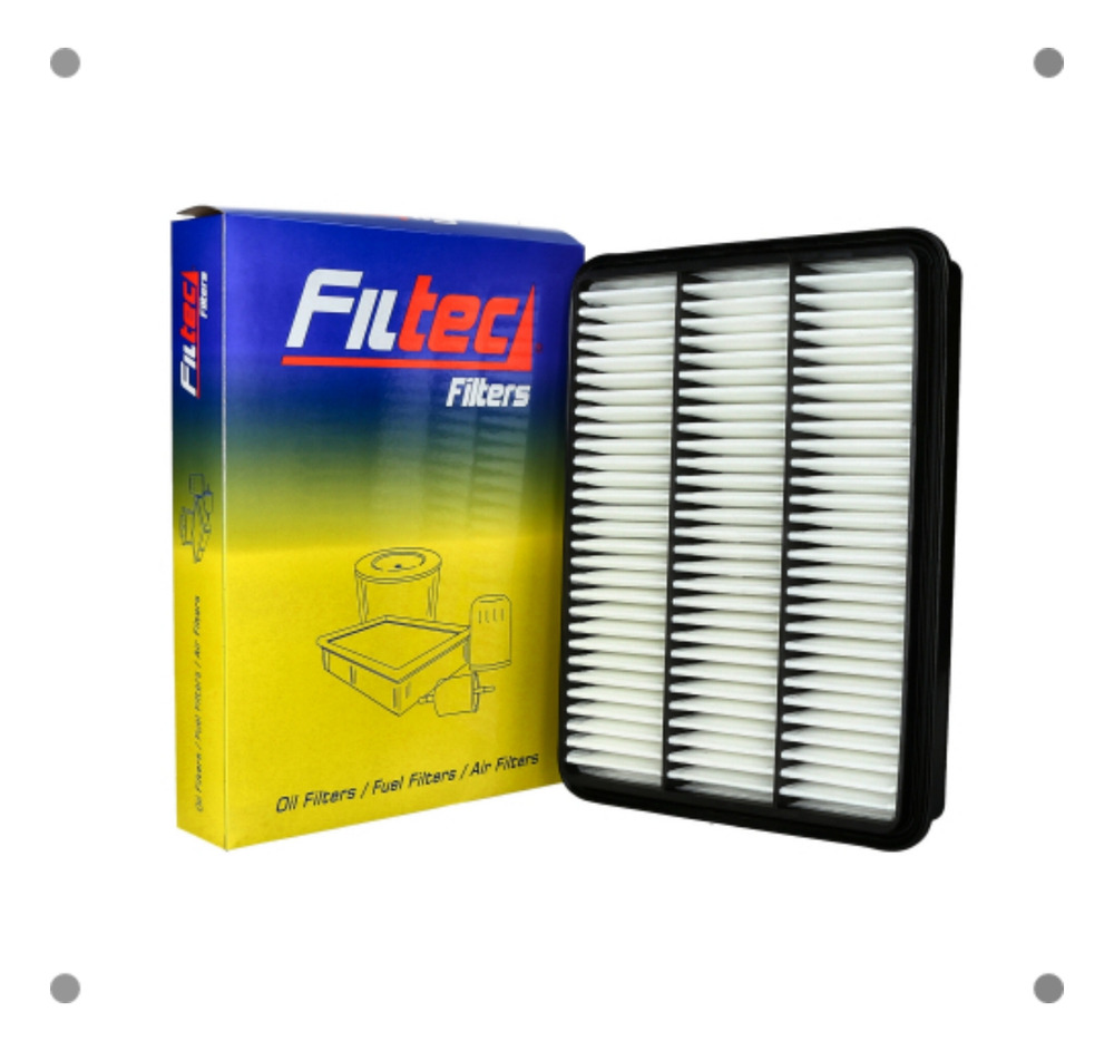 Filtro Aire Filtec Para Toyota Fj Cruiser 2008 2012
