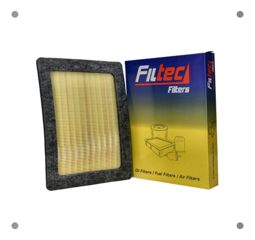 Filtro Aire Filtec Para Ford F150 2005 2010