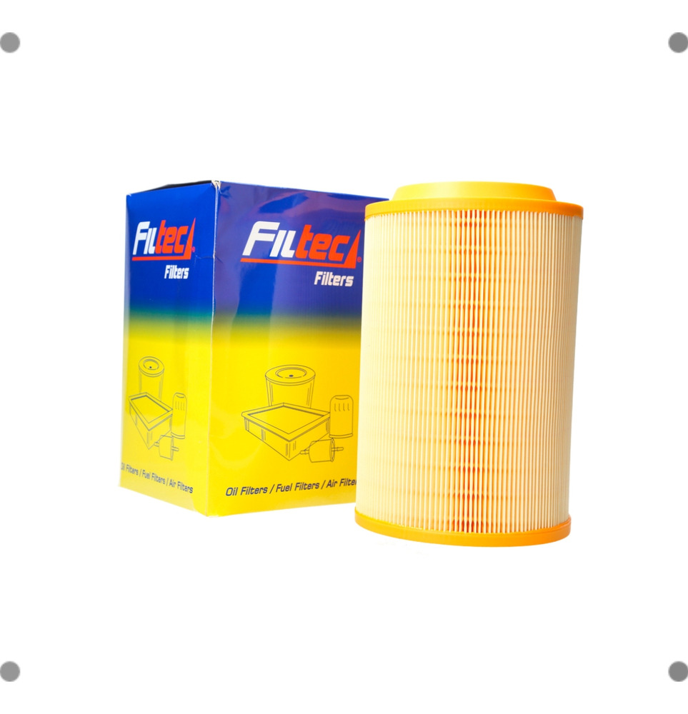 Filtro Aire Filtec Para Foton Ft-crew 2017 2020